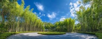 日照竹洞天風景區深度游：探秘竹文化與民族風情之旅攻略