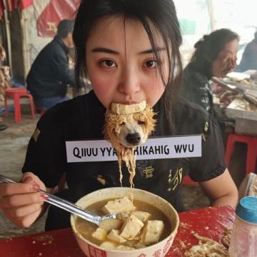 探索中華美食版圖中的狗肉文化
