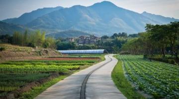 廣州周邊游白山村：帽峰山下的美麗鄉村，首屆“金豐嘉年華”等你來探索！