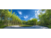 日照竹洞天風景區深度游：探秘竹文化與民族風情之旅攻略