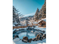 喜歡溫泉，向往安波，雪域溫泉夢（三）意外邂逅