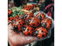 黑龍江夜市驚現(xiàn)創(chuàng)意小吃：辣味與瓜子的奇妙結(jié)合