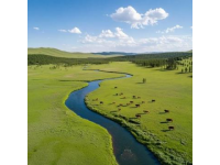 內蒙古特色美食：牛羊肉奶食文化，融合多民族風味一覽無余