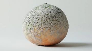 Mandarin-果子解謎：探尋“Pomelo”與柚子之間的奇妙聯系