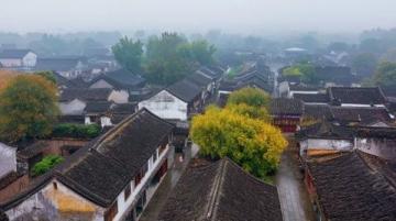 烏鎮(zhèn)街古色古香的美味與江南風情