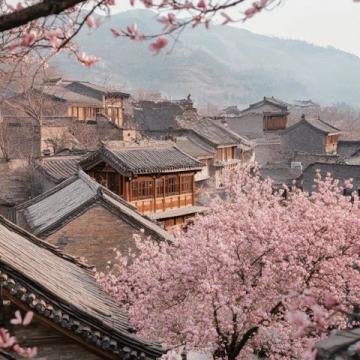 綿陽(yáng)平武：賞梅花十里花海的周邊游攻略