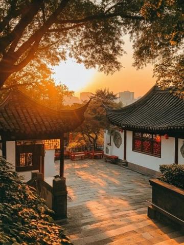 我在頭條100天(紀念我在頭條的100天)
