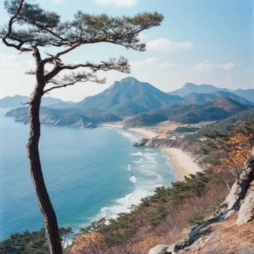 探索華東純凈海濱:東臺(tái)黃海森林公園,國家級(jí)生態(tài)仙境之旅