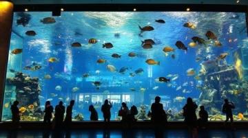 關于我在新加坡水族餐廳花了?千塊