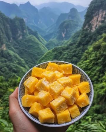 向家村：探索獨特的隆回縣美食之旅