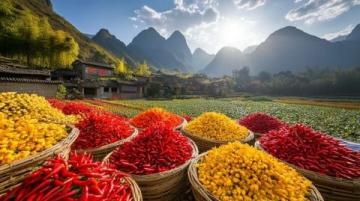 廣西五地風味各異,桂北至桂西,品嘗八大特色美食區