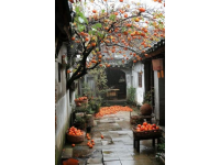 棗莊：探尋兩千年的石榴文化底蘊與城市魅力