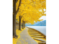 揭秘瀘沽湖：不止水性楊花！探尋人間仙境的深度旅行攻略