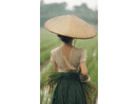 鄉村生活美學：詩意日常，打造高級感的儀式之美