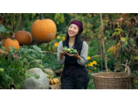 趙縣美食探秘：家鄉蒸菜的傳統韻味與創新之旅

