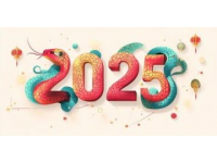 2025蛇年春節(jié)風(fēng)俗大盤點(diǎn)：南北特色美食與民俗活動(dòng)