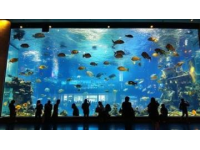 關于我在新加坡水族餐廳花了?千塊