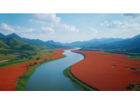 探索洋縣美味之旅:一站式口福指南