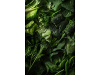 吃出健康：野菜自然饋贈中的生命密碼