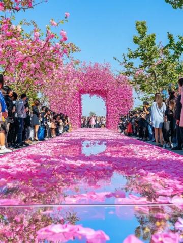 圣誕節探訪花都昆明:商業區盛宴、公園歡歌及必游景點推薦