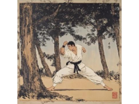 金庸十五部經典武俠小說：從雪山飛狐到鹿鼎記