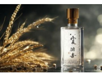 揭秘四川宜賓的獨(dú)特風(fēng)味：血皮菜的奇妙江湖