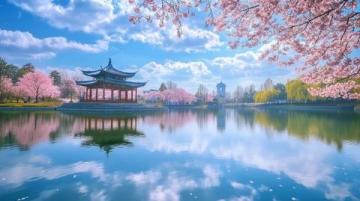 探尋國(guó)內(nèi)櫻花盛宴：精選賞櫻路線推薦盤點(diǎn)