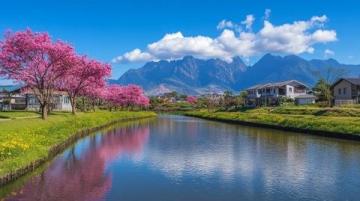 春天必訪:泉州豐澤之旅