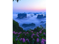 探索桂林：抖音熱門旅游景點，體驗甲天下的山水與煙雨風情