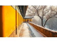冬季旅行天花板芒市2天1夜攻略來了~