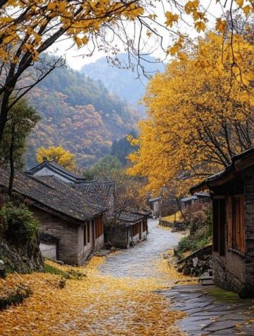 安徽陽(yáng)產(chǎn)土樓:云端秋色里的歡樂(lè)之旅