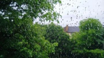 暮春時節(jié)來的冷雨