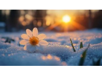 暴雪過后的寧靜與春陽的無力感