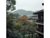 推開窗戶便是湖光山色：安吉涵田度假村視覺盛宴體驗