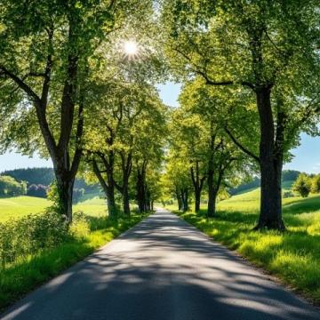 鄉村道路行車安全：三大要點須知，小技巧保平安