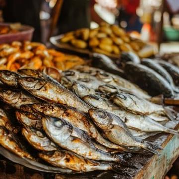 你知道嗎？金鯧魚的蛋白質含量竟高達每100克15.6克！