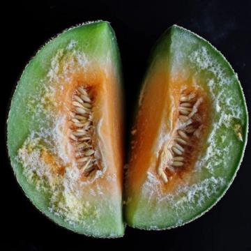 香瓜的甜美背后:一段關(guān)于母愛(ài)與犧牲的回憶