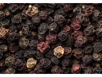 野山椒的魅力：從泡菜壇到川菜的靈魂調味品