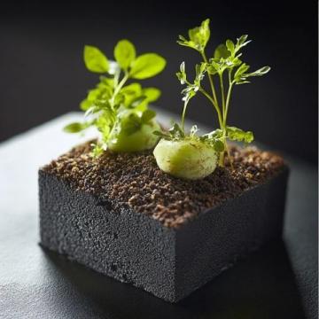 春分頂流！藏在田埂邊的米其林盛宴正當時