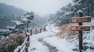 冬日童話丨大連熱點之旅丨6條精品線路,赴冬日之約~——冬日童話二日游