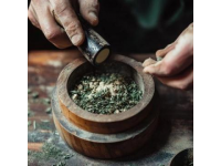 春日必嘗：榆錢的多樣吃法與創意烹飪技巧