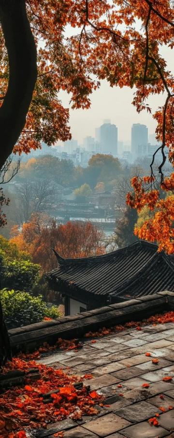 10月收官了，昨早出門，今天晚飯前到家了,揚州2日游吧