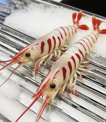 在周水前劉大龍蝦店的美食體驗:小龍蝦、烤串與榴蓮盛宴