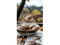 南漳豬油餅：百年漢水鄉愁里的炭火酥香，喚醒古城早醒味蕾