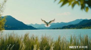 無(wú)錫旅游攻略太湖明珠的詩(shī)意漫游，人均1000元玩轉(zhuǎn)江南韻味