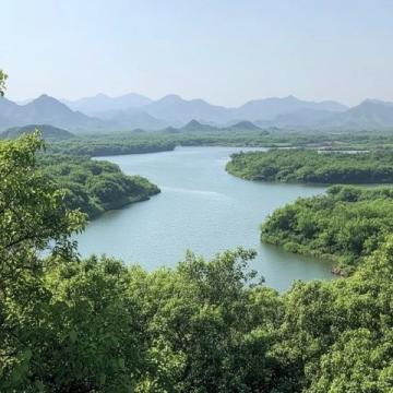 南昌居住近40年首次探訪梅嶺獅子峰:自然風光與文化之旅