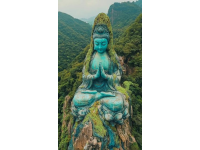 福建佛跳墻：閩味經(jīng)典，千年傳承與創(chuàng)新相融合