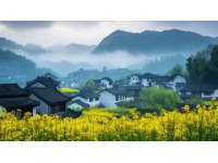 婺源春色：江西最美鄉(xiāng)村的油菜花海與古樸村落風(fēng)光