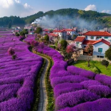 東極島旅行指南:探索中國最東方島嶼的實用貼士與打卡秘籍