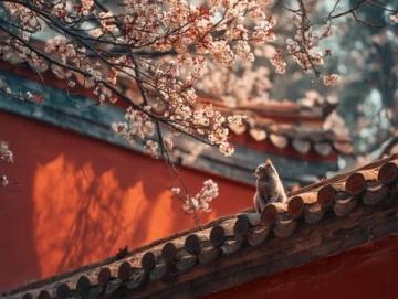 中國各地春節習俗大盤點,你家鄉上榜了嗎?